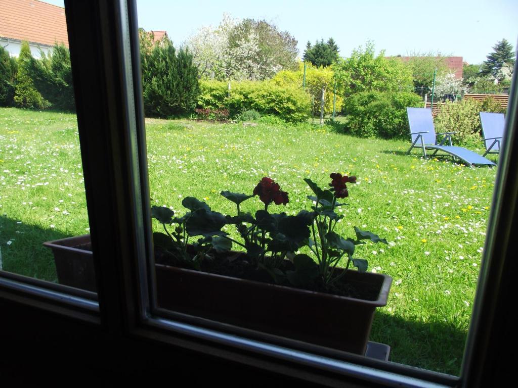 Ferienhaeuser Boerge Sassnitz Kamer foto